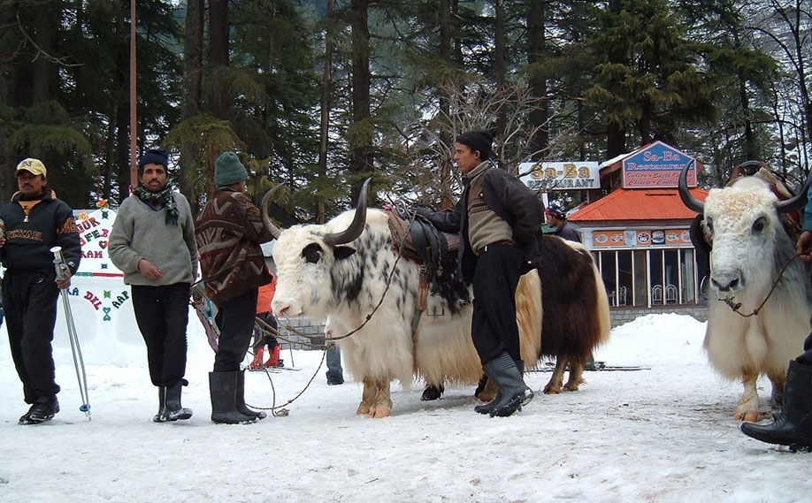 Himachal Pradesh